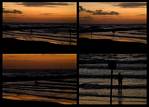 (03) dawn montage.jpg    (1000x720)    265 KB                              click to see enlarged picture